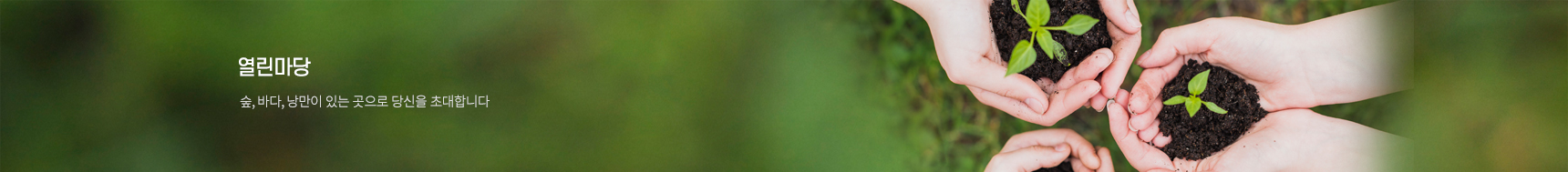 드림파크의 하루