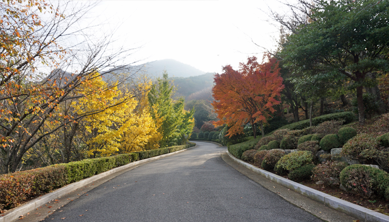 진해만생태숲이미지